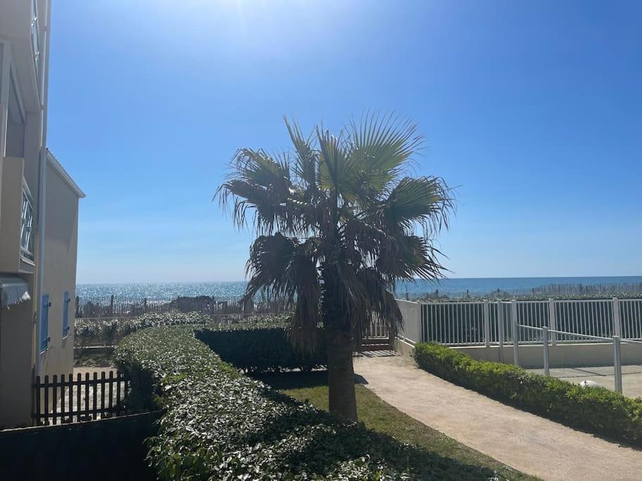 Appart Frontignan Sur La Plage, Piscine, Wifi, Tv, Netflix 외부 사진